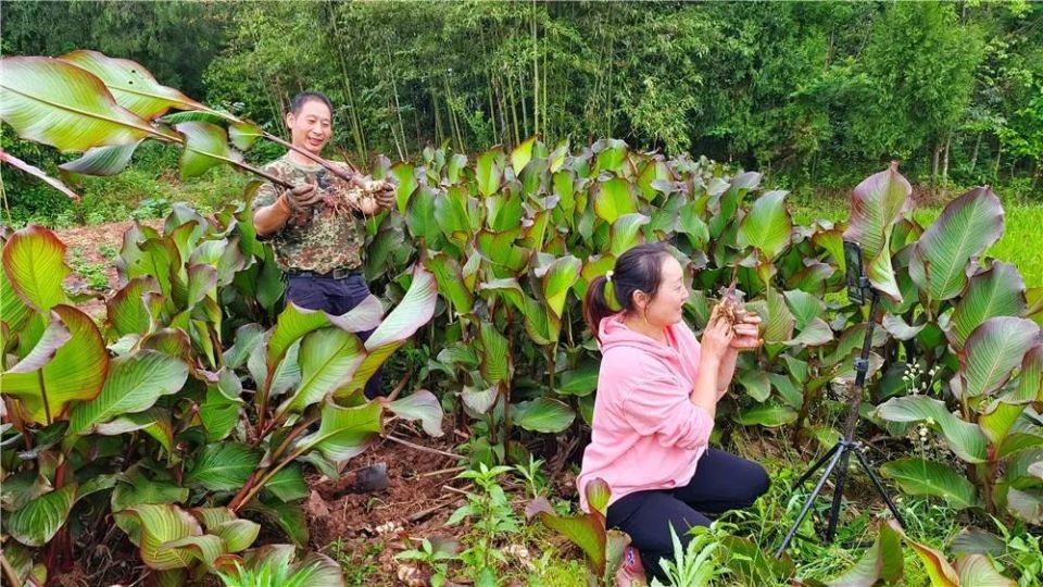 通过组织动员本地年轻种养殖大户,荫平镇农村电商孵化中心今年一季度