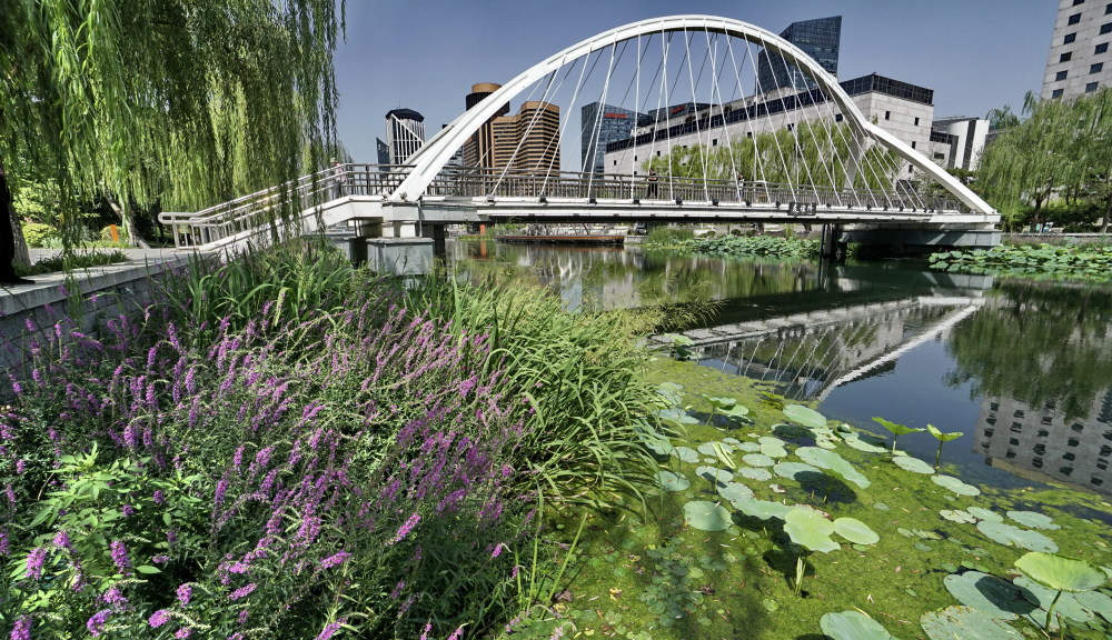 (环境)北京:亮马河变身"亲民河"_腾讯新闻