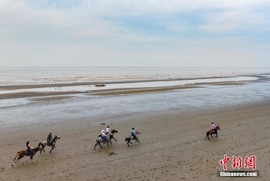 长江入海口江苏启东：面朝大海 策马扬鞭_腾讯新闻