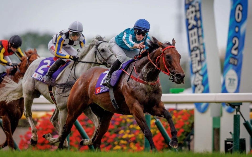 香港赛马会供图新京报讯 (记者徐邦印)6月2日,赛马一级赛安田纪念 
