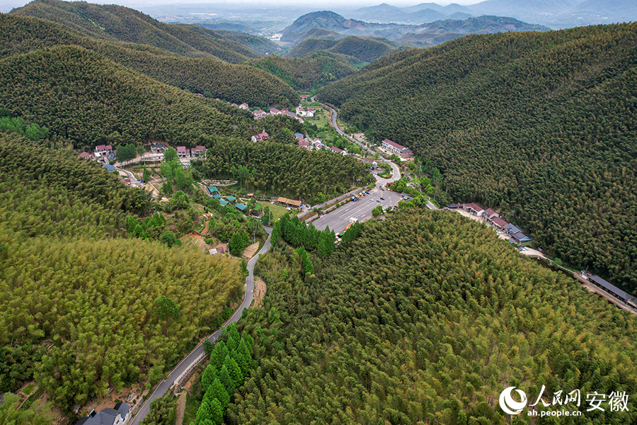 安徽广德雨后竹海绘画廊