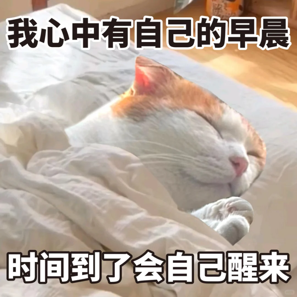 周末不睡懒觉的人,亏大发了