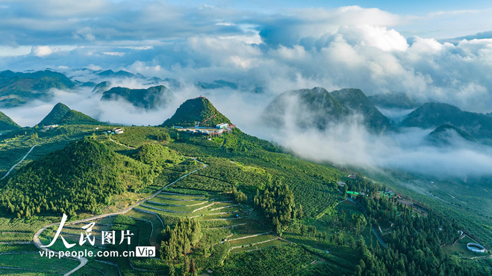 近年来,西畴县大力推进生态文明建设,在石漠化山区建成国家石漠公园