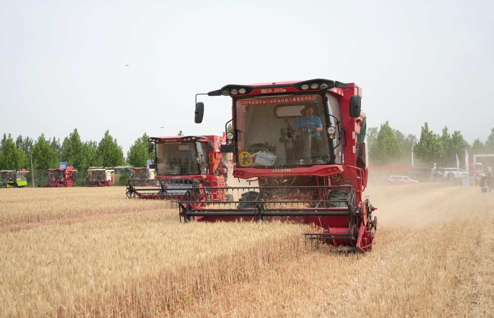 山东6000多万亩小麦陆续集中收获