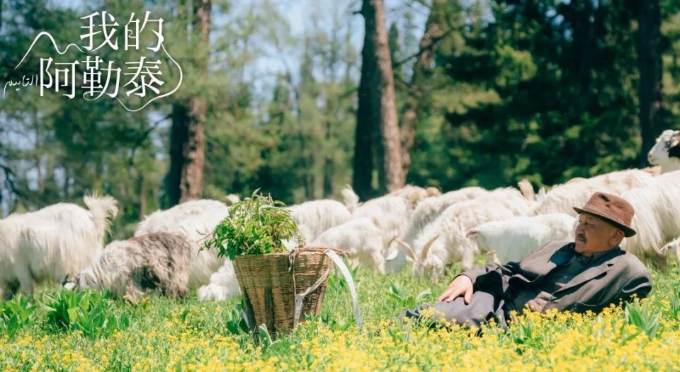 《我的阿勒泰》,后劲为啥这么大?