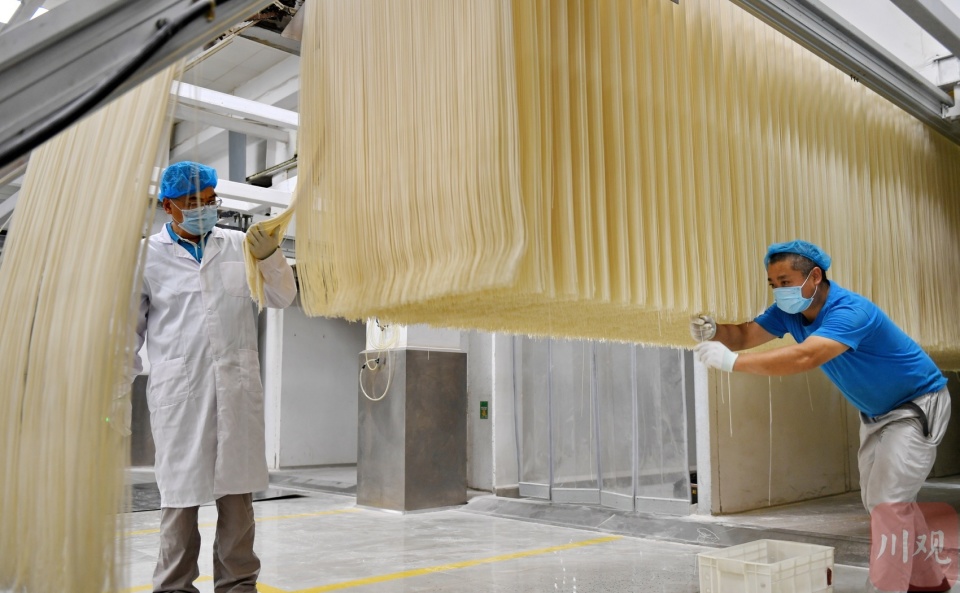 经过和面,熟化,压延,切丝等十二道工序后,一袋袋合格的挂面将被送往