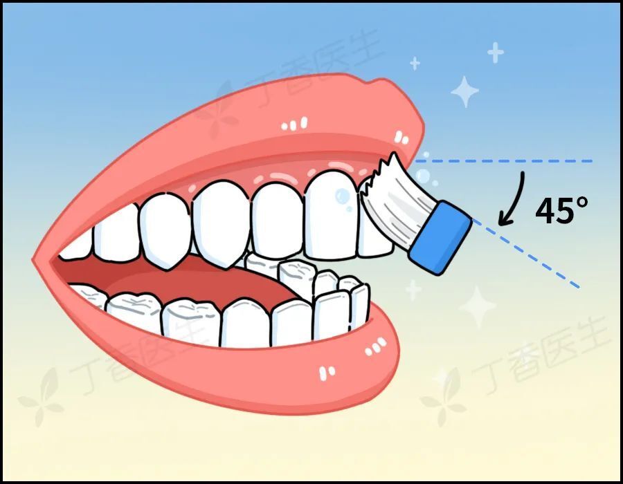 45度角刷牙示意图图片