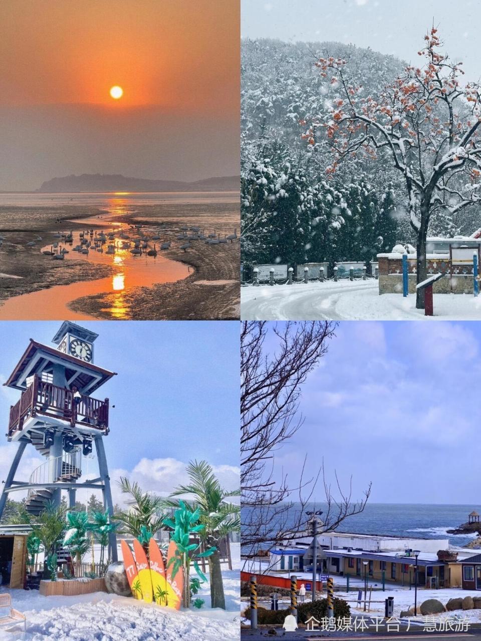3月旅游，威海美食集合_腾讯新闻