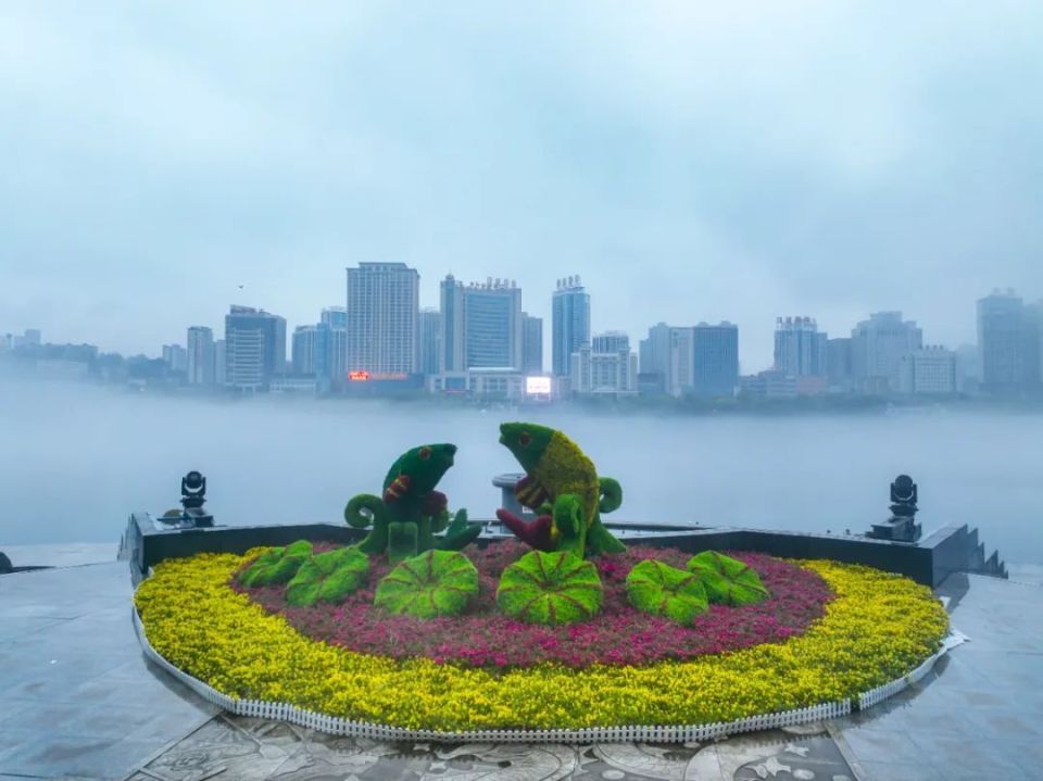 雾锁金州!今天的安康美如仙境!_腾讯新闻