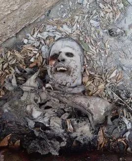 第1396期(下)_腾讯新闻