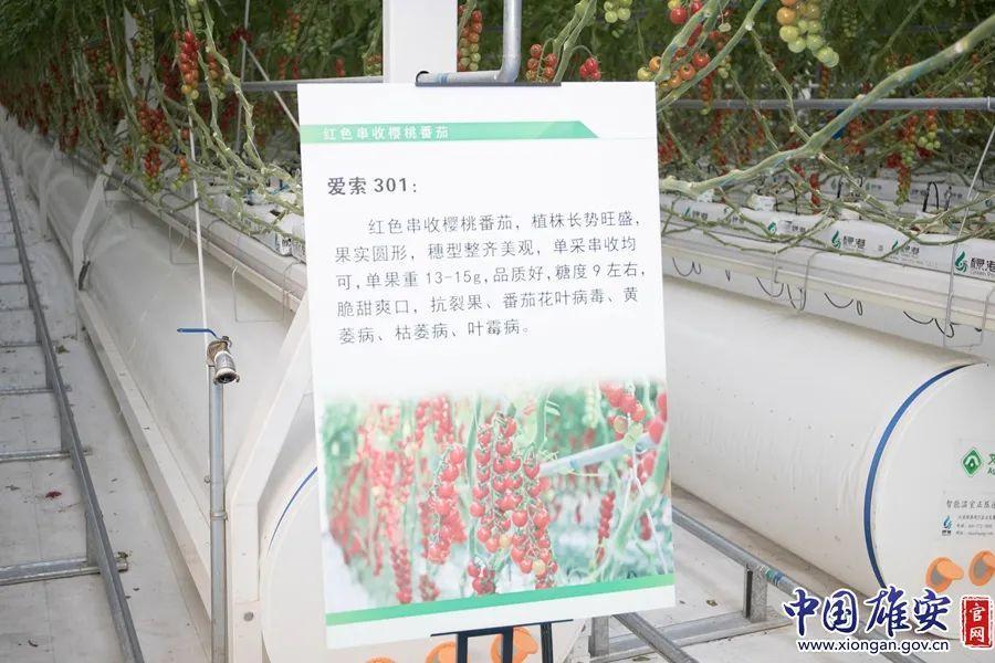 新春走基层丨我与机器人“工友”搭档干活