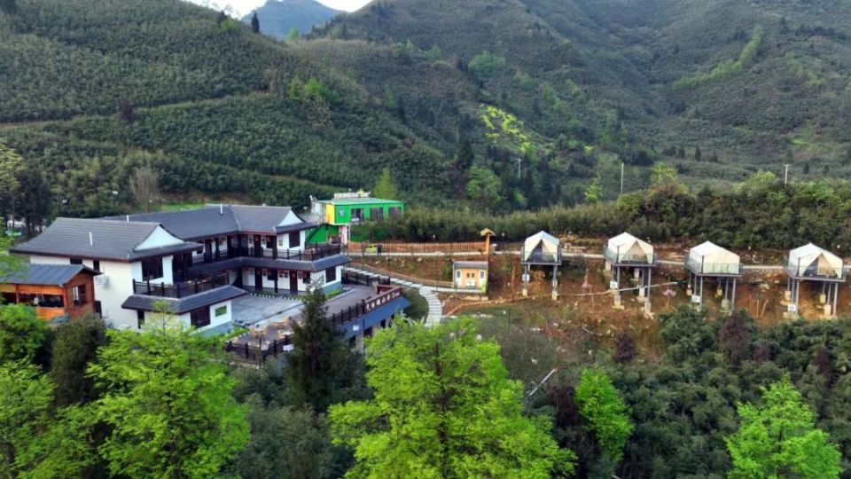 寻觅夏日清凉 一起躲进沐川神木山