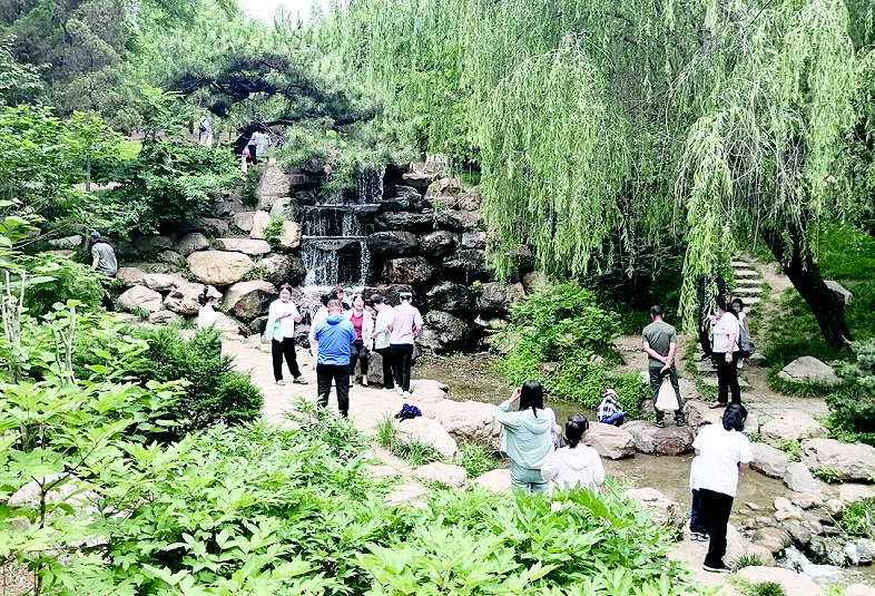 劳动公园游人如织尽享惬意
