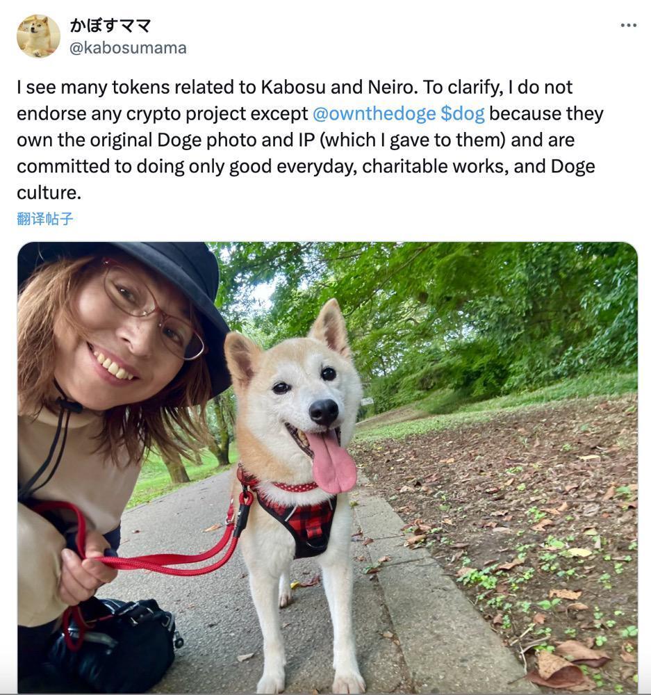 DOGE原型主人新宠“Neiro”爆火：多个同名MEME获数亿资金参与，未经授权遭“抗议”-腾讯新闻