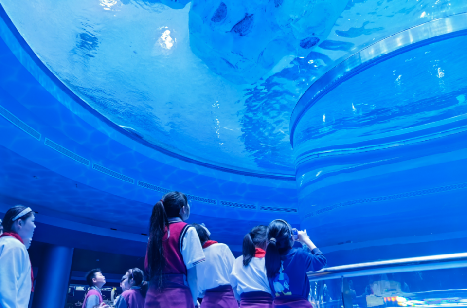 常州新增3所高中!位置就在