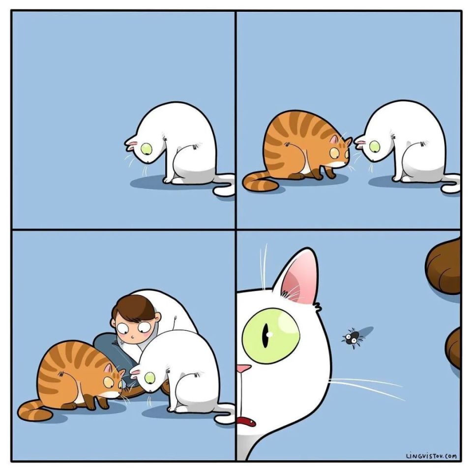 641