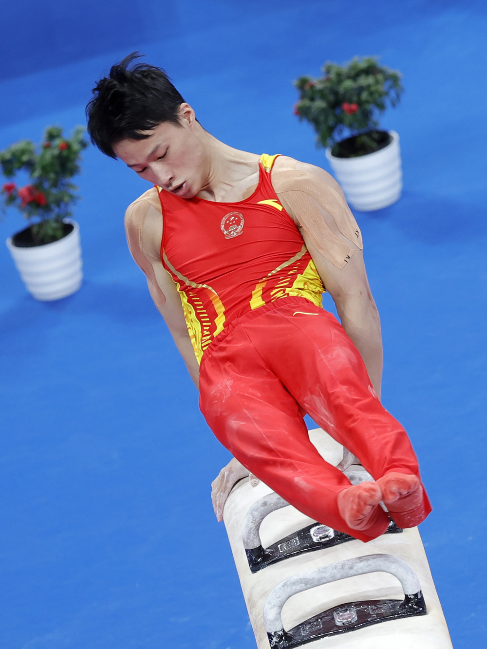 体育体操全国冠军赛鞍马决赛赛况