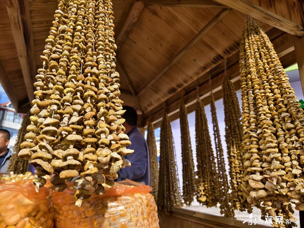 青海祁连黄菇集散中心挂牌