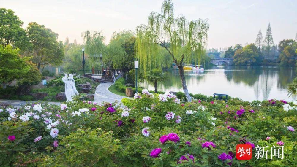 第32届江苏(常熟)尚湖牡丹花会开幕_腾讯新闻