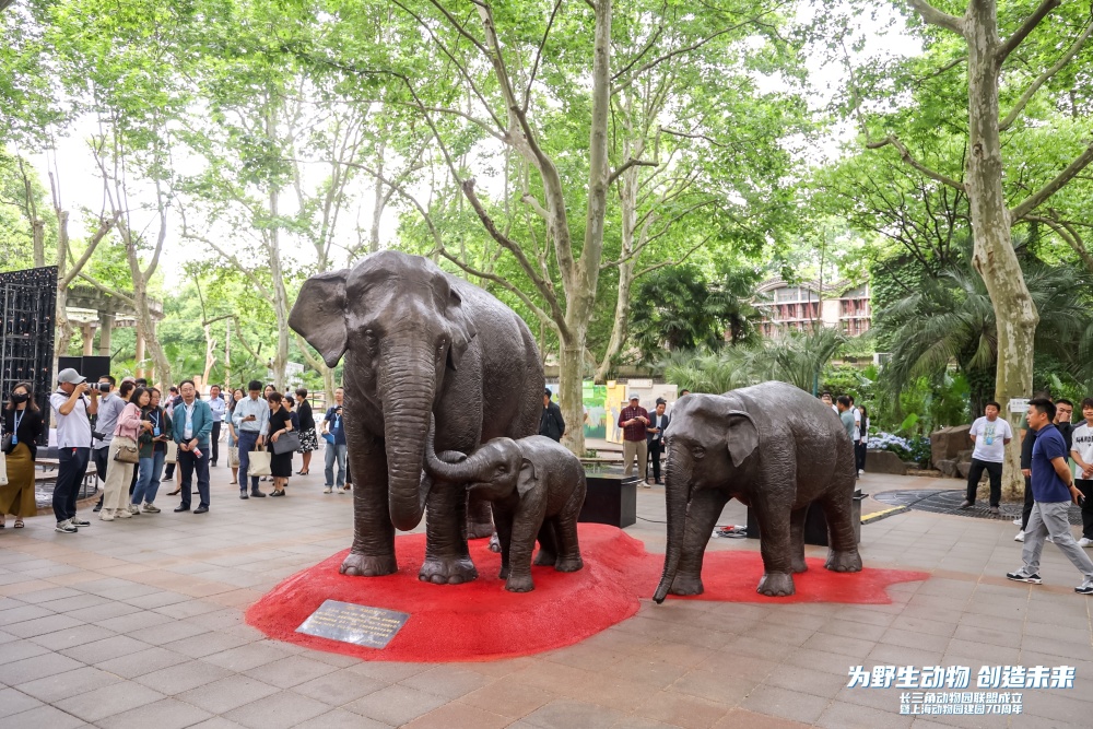 上海动物园建园70周年,长三角动物园联盟成立
