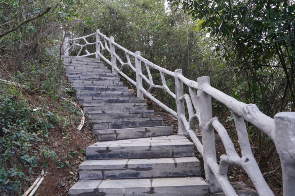 步道两侧的绿化植被更是鲜艳亮丽,让群众登山更加舒适,新增栏杆及路灯