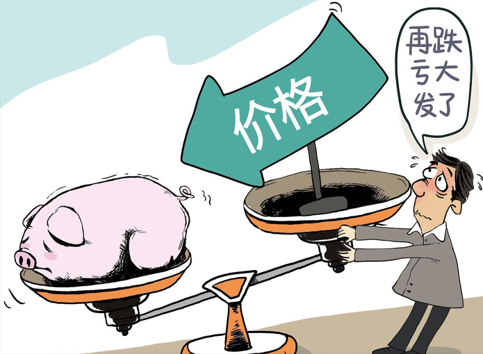 生猪价格涨跌调整,中,东部分省区猪价"飘红"!2月24日猪价