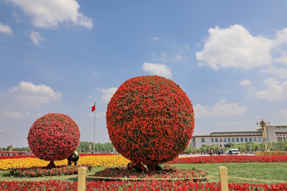 城事|北京:迎"五一",28万余株花卉装点天安门广场