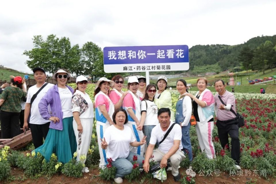 【关注】贵州麻江: 500亩金鱼草热情绽放 开启浪漫花海旅游季