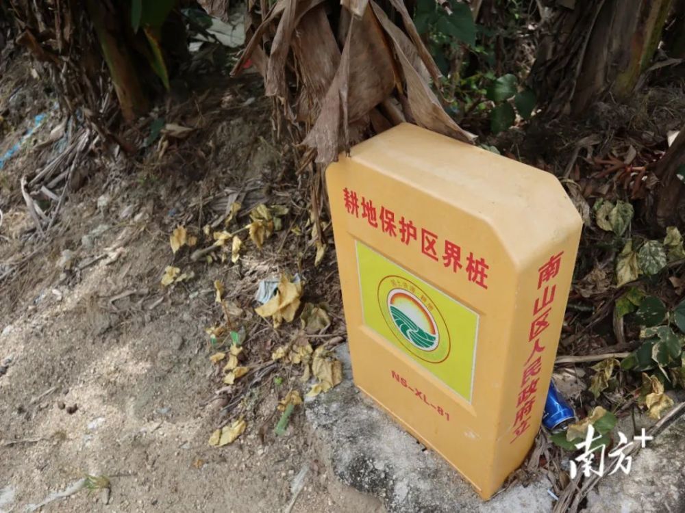 猜成语的太阳山路是什么_疯狂猜成语一个太阳图片答案是什么(2)