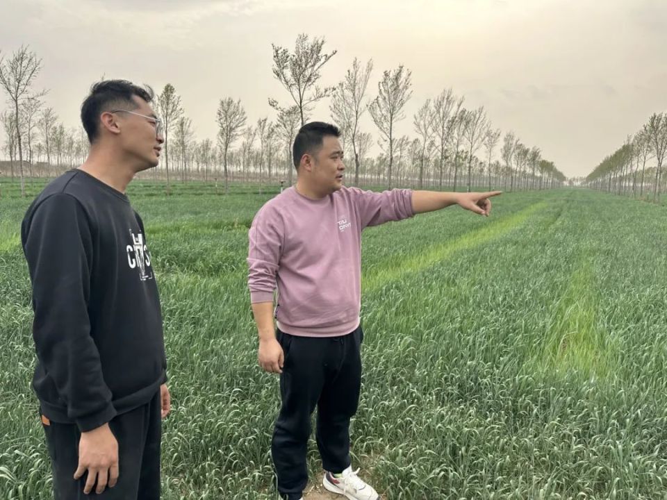 指导种植户田间管理 (图片由受访者提供)孙东方:山东省昌邑市政协委员