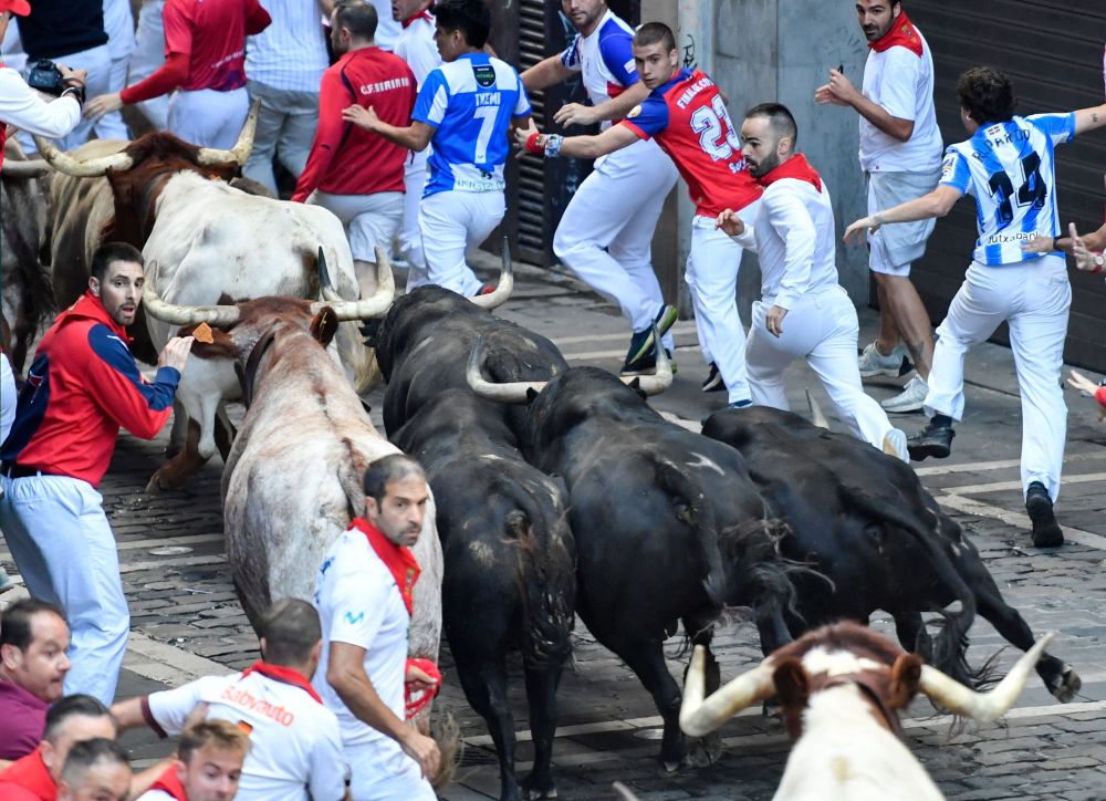 西班牙举行奔牛节
