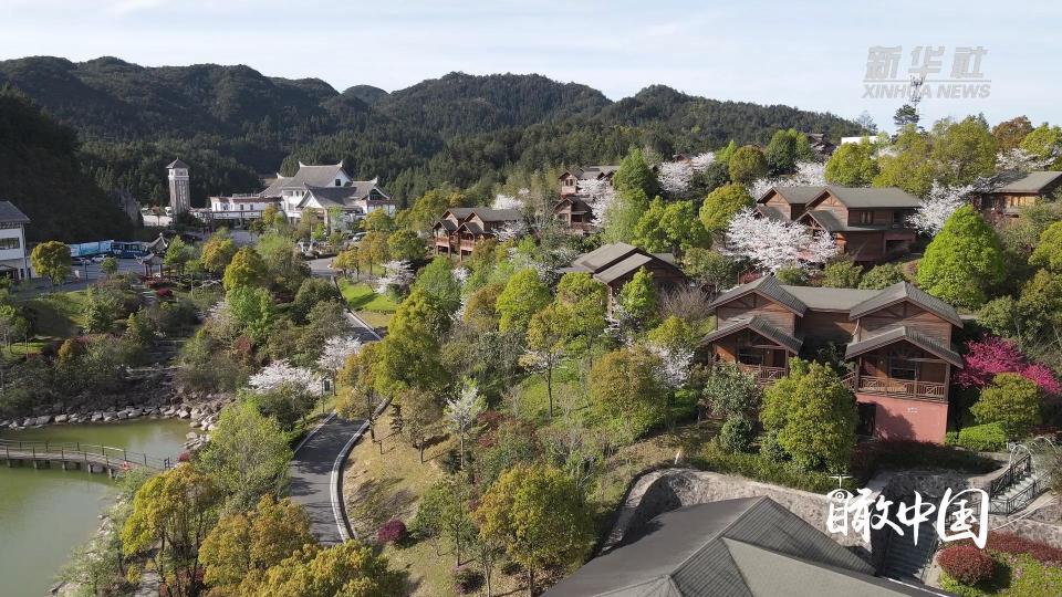 瞰中国福建德化春意盎然樱你而醉