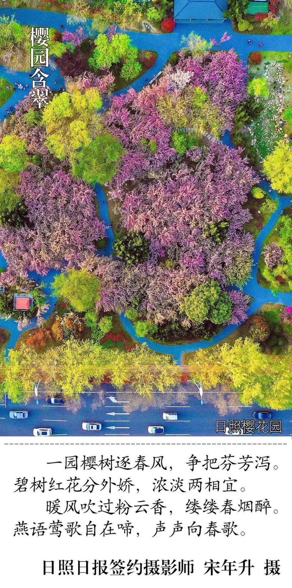 经山历海·美图日照丨带你漫步日照,寻找春天的秘密花园!