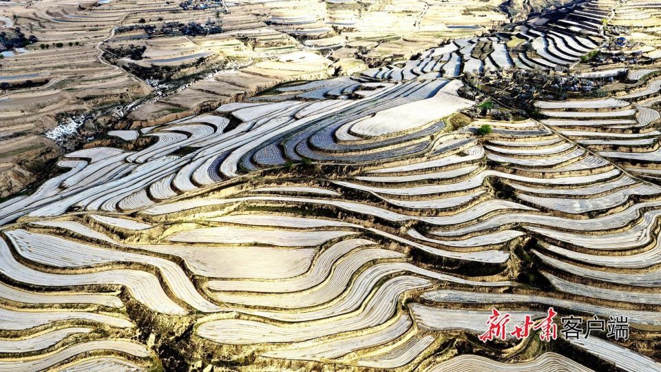 【省媒看陇西】全膜双垄沟播技术夯实产业根基_腾讯新闻