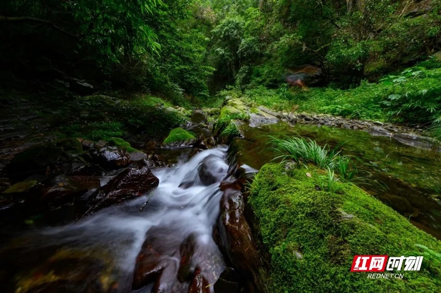 开幕式倒计时3天借母溪风景区徒步溯溪森呼吸畅享田园慢生活