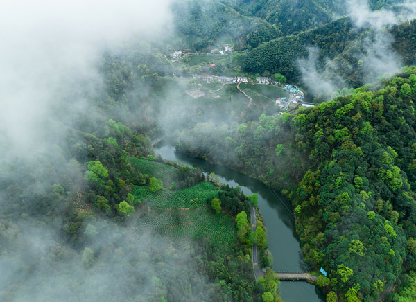 安徽池州云雾绕茶山美景入画来
