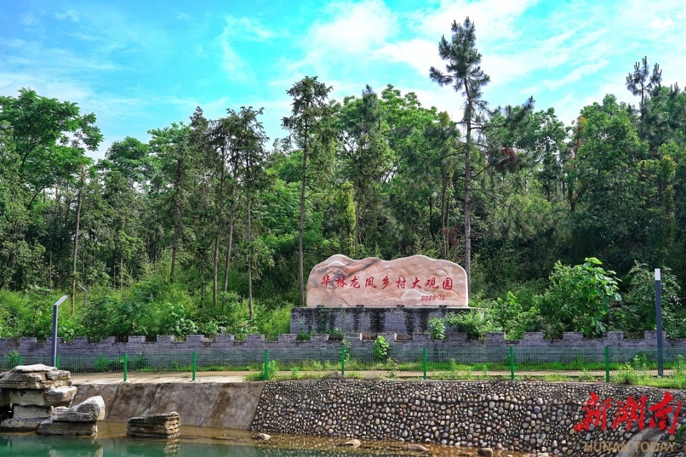 衡龙桥镇:蔬果飘香产业旺 村靓景美文旅兴