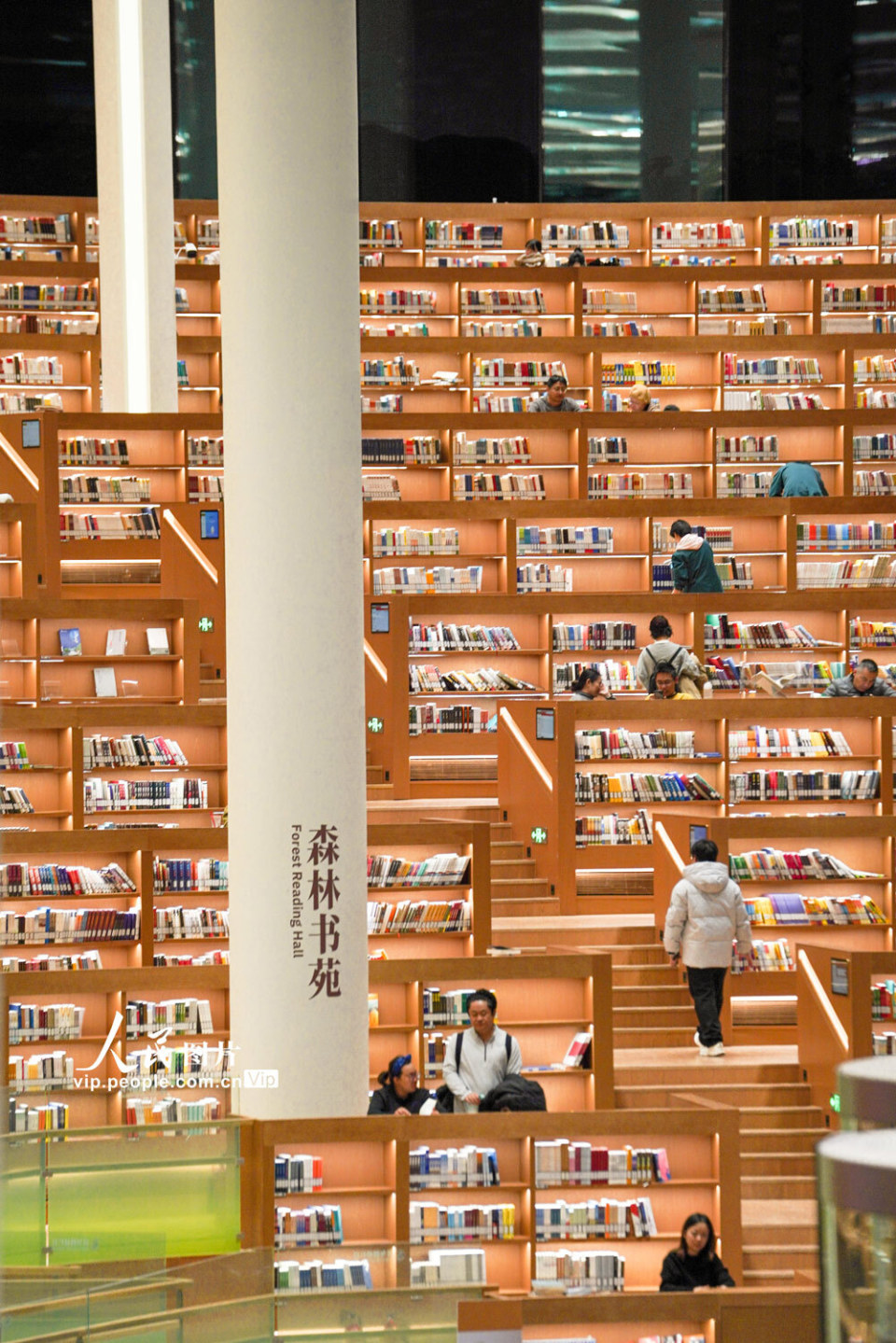 北京城市图书馆里度周末