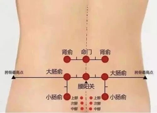 世界肾脏日 | 中医五个小动作保护我们的"肾"