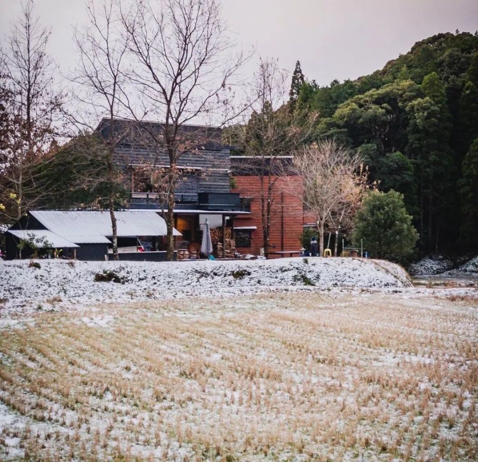 日本三胎家庭住进深山10年，买地仅9万人民币，独享广阔山林_腾讯新闻