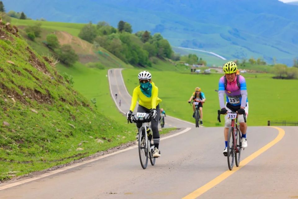第六届"那人,那车,那山"那拉提草原户外运动嘉年华骑行登高大赛奎赛