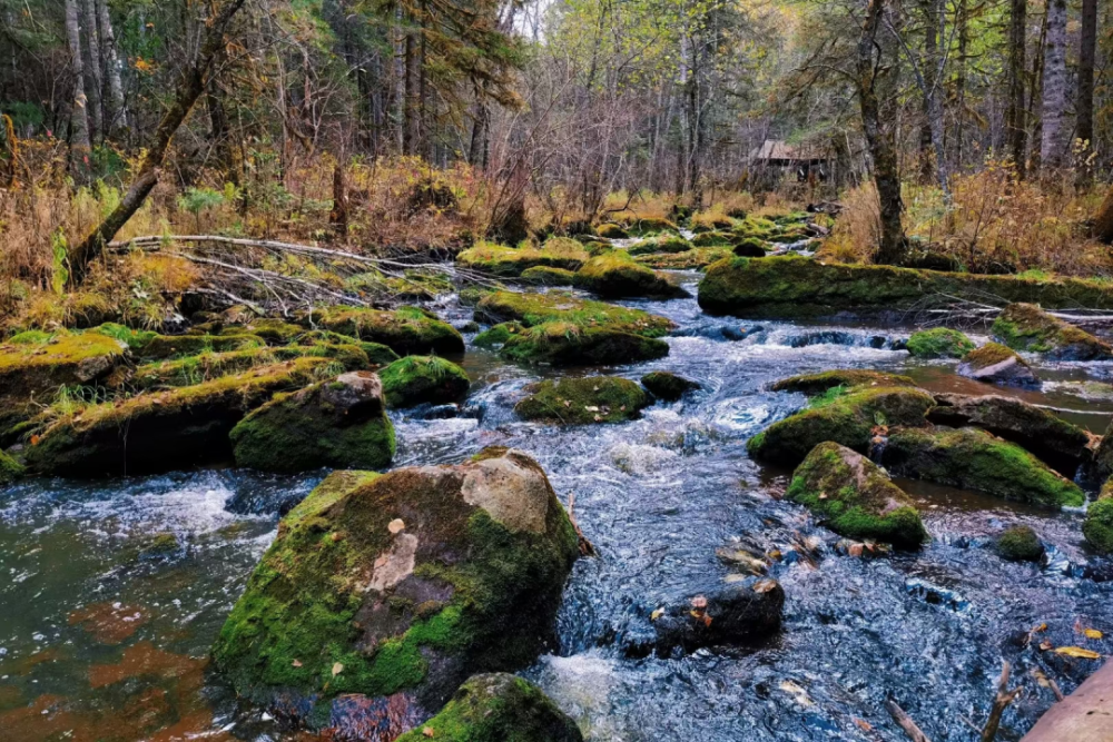 伊春市高考考生景区门票优惠政策来啦!