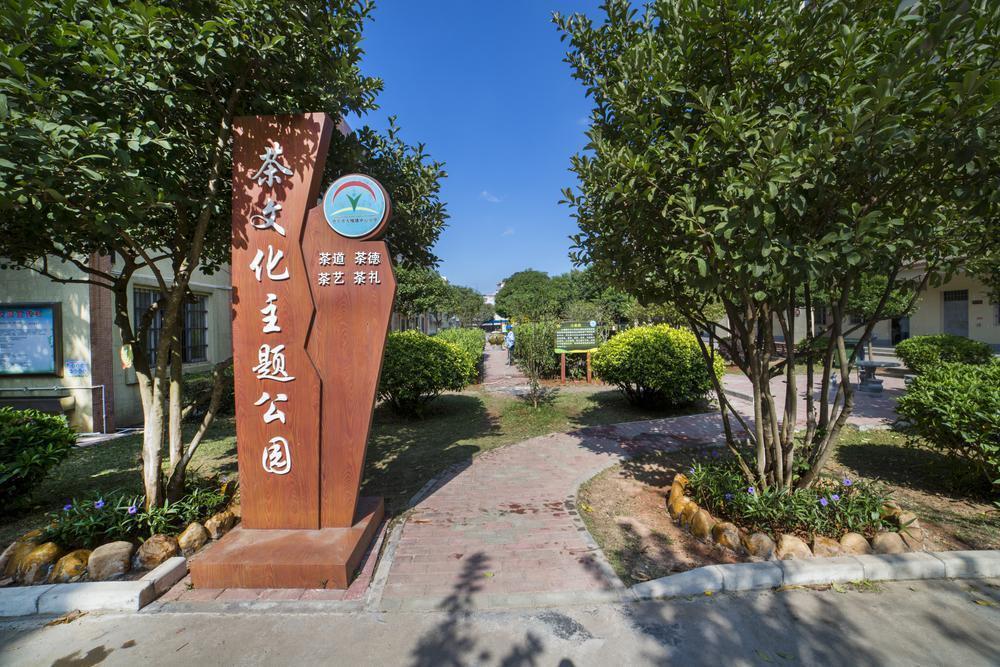 国际茶日:江门恩平市大槐镇中心小学"茶礼育德"11载_腾讯新闻