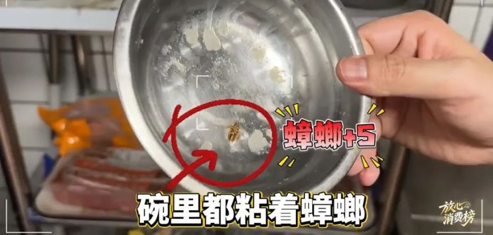 牛约堡后厨惊现蟑螂！食品安全问题究竟该如何保障？