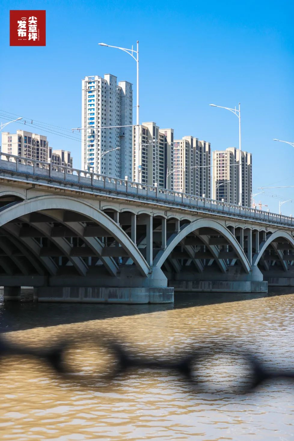 这几座跨河大桥 美哭了!