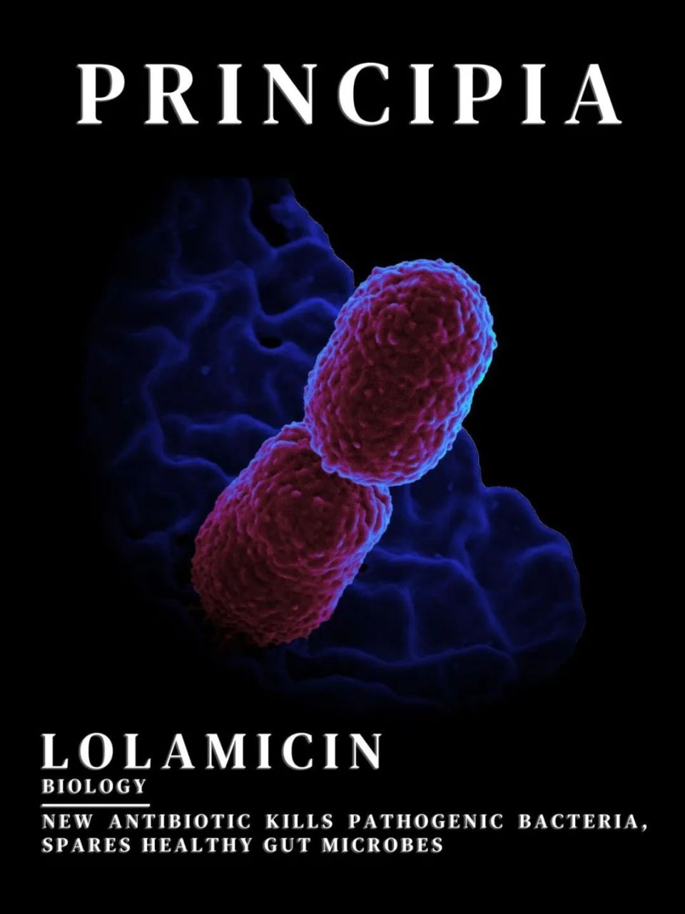 一种极具潜力的新型抗生素