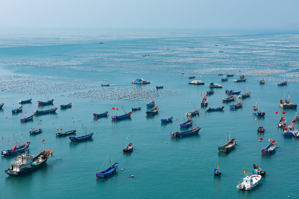 海南三大渔港图片
