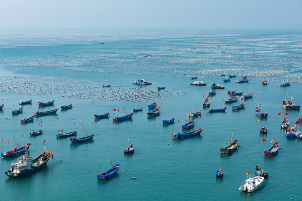 海南省临高县渔港经济区入选2024年国家级沿海渔港经济区试点名单!