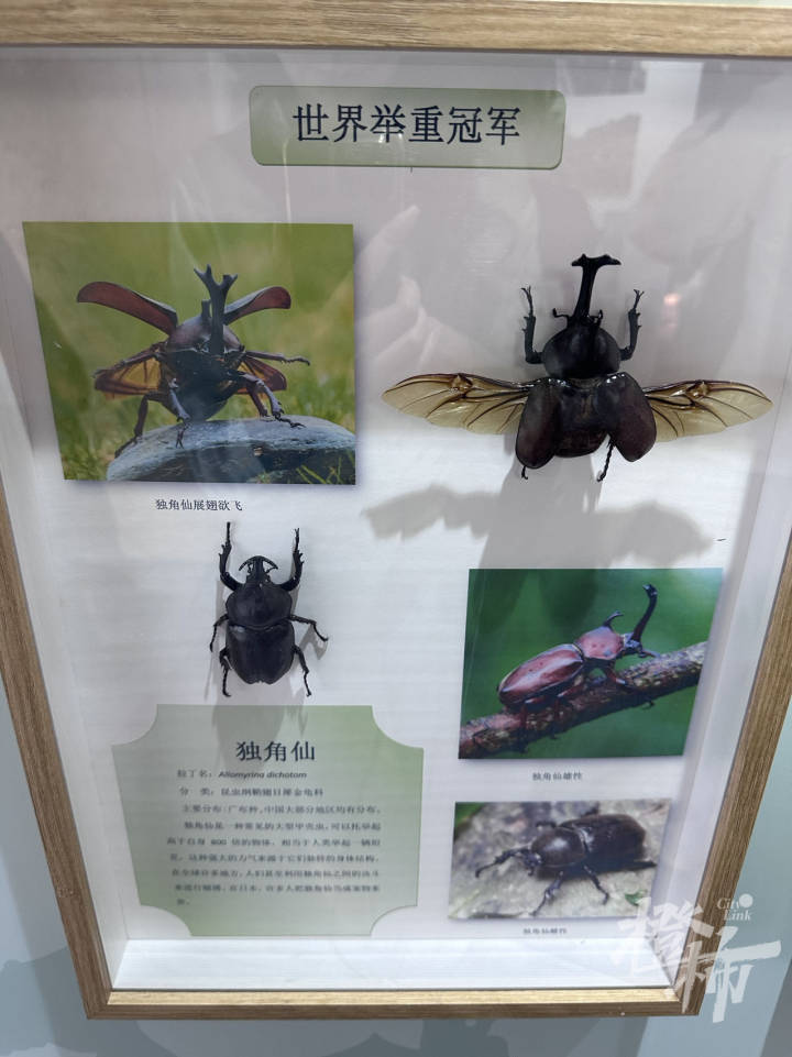 全能"数字战警",像"愤怒小鸟"的另类无人机