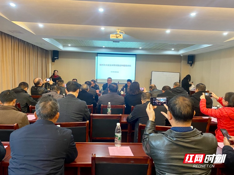 [南方生姜网-图片加载]